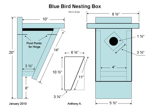 bluebird house sizes